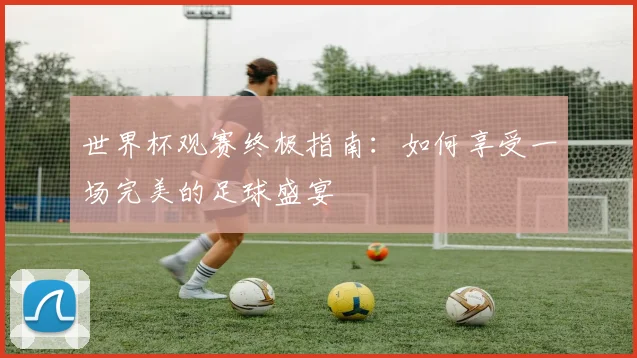 世界杯观赛终极指南:如何享受一场完美的足球盛宴