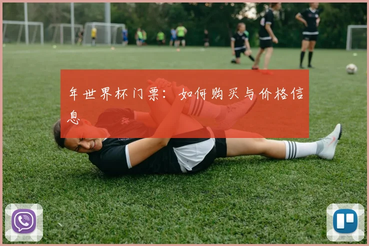 年世界杯门票：如何购买与价格信息