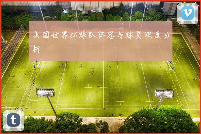 美国世界杯球队阵容与球员深度分析